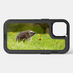 Cutest Baby Animals European Hedgehog iPhone 13 Case