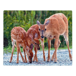 Cutest Baby Animals Fawn with Babies Jigsaw Puzzle