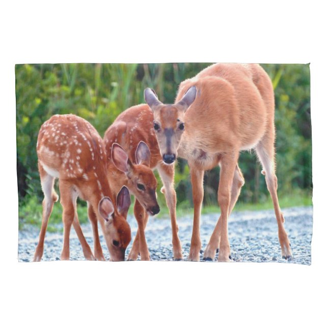 Cutest Baby Animals | Fawn with Babies Pillow Case (Front)