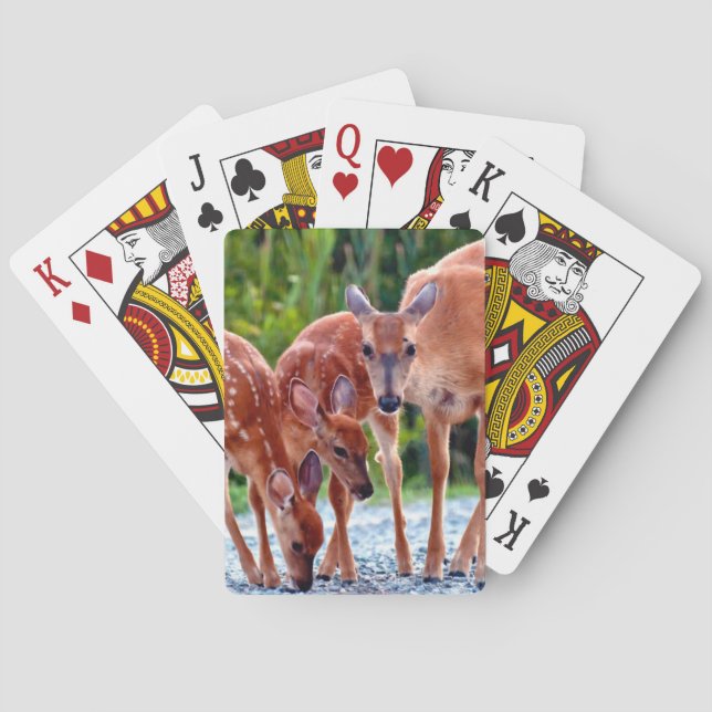 Cutest Baby Animals | Fawn with Babies Poker Cards (Back)