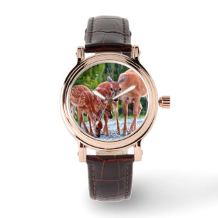 Cutest Baby Animals   Fawn with Babies Watch