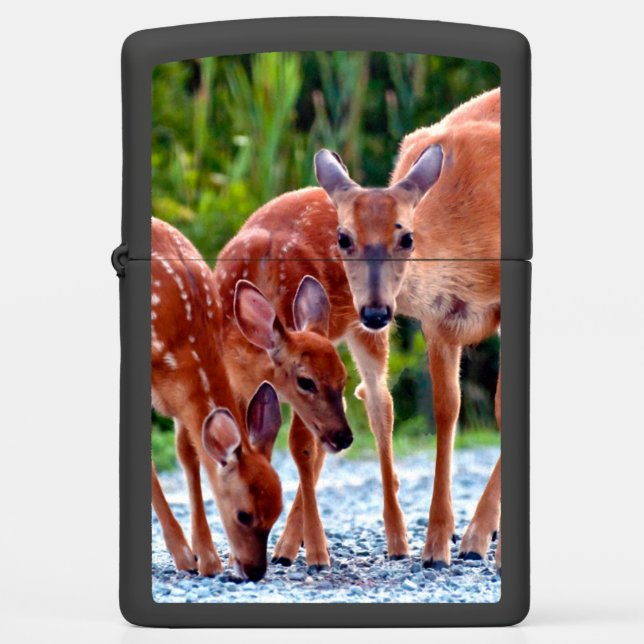 Cutest Baby Animals | Fawn with Babies Zippo Lighter (Front)