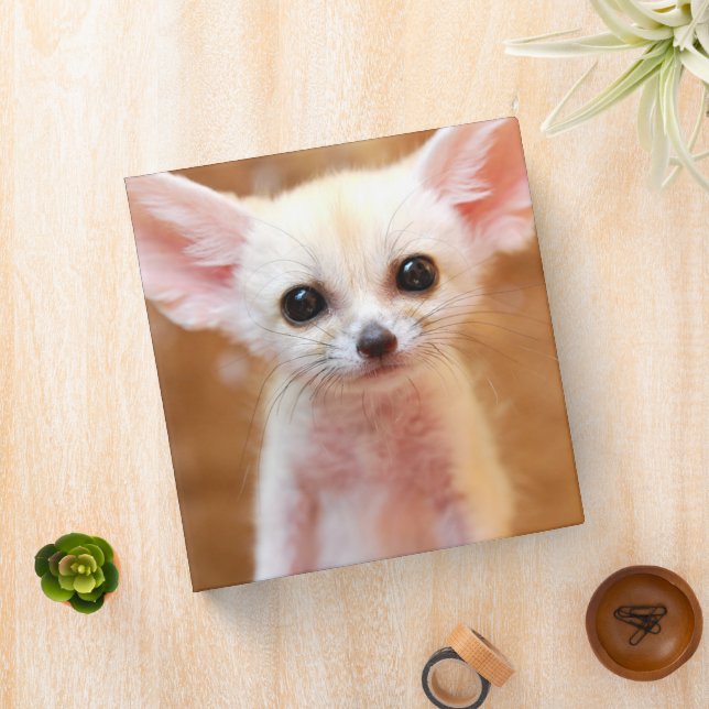 Cutest Baby Animals | Fennec Fox 3 Ring Binder (In Situ)