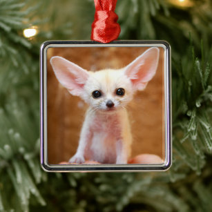 Cutest Baby Animals   Fennec Fox Metal Ornament