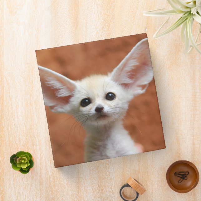 Cutest Baby Animals | Fennec Fox Pup 3 Ring Binder (In Situ)