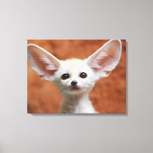 Cutest Baby Animals  Fennec Fox Pup Canvas Print