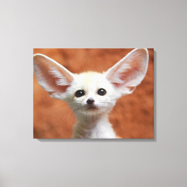 Cutest Baby Animals | Fennec Fox Pup Canvas Print (Front)