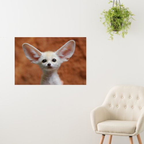 Cutest Baby Animals  Fennec Fox Pup Foam Board