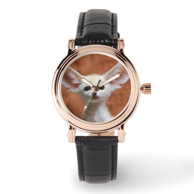 Cutest Baby Animals | Fennec Fox Pup Watch (Front)