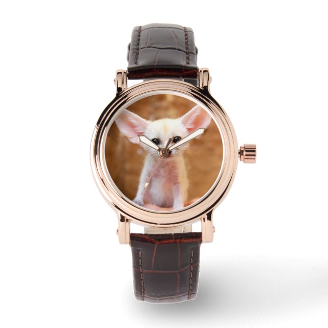 Cutest Baby Animals | Fennec Fox Watch (Front)