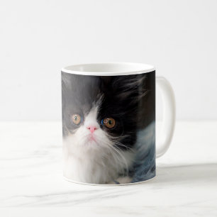 Cutest Baby Animals   Fluffy B&W Kitten Coffee Mug
