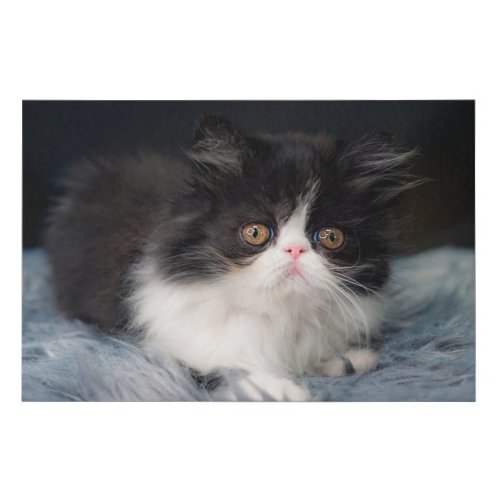 Cutest Baby Animals  Fluffy BW Kitten Faux Canvas Print
