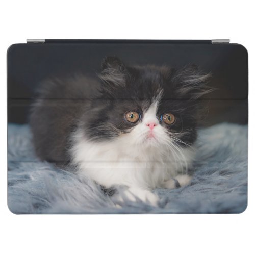 Cutest Baby Animals  Fluffy BW Kitten iPad Air Cover