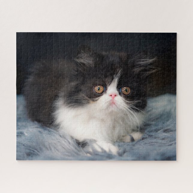 Cutest Baby Animals | Fluffy B&W Kitten Jigsaw Puzzle (Horizontal)