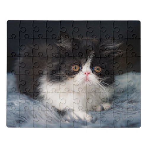 Cutest Baby Animals  Fluffy BW Kitten Jigsaw Puzzle
