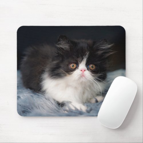 Cutest Baby Animals  Fluffy BW Kitten Mouse Pad
