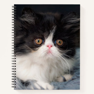 Cutest Baby Animals   Fluffy B&W Kitten Notebook