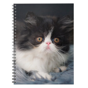 Cutest Baby Animals Fluffy B&W Kitten Notebook