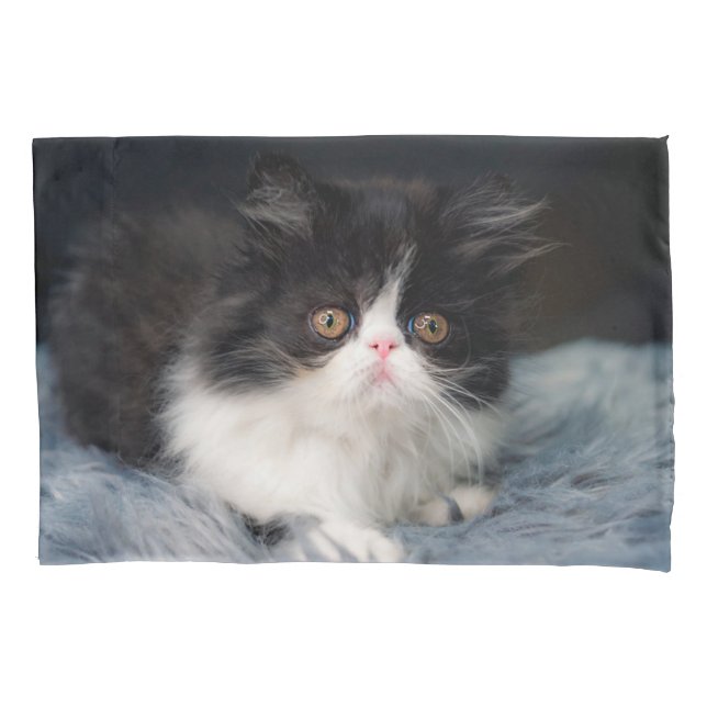 Cutest Baby Animals | Fluffy B&W Kitten Pillow Case (Front)