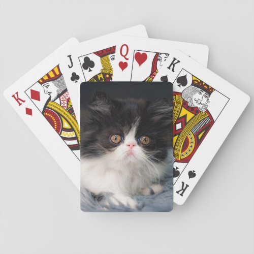 Cutest Baby Animals  Fluffy BW Kitten Playing Cards