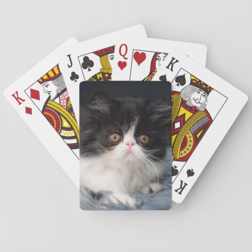 Cutest Baby Animals  Fluffy BW Kitten Poker Cards