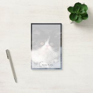 Cutest Baby Animals Fluffy B&W Kitten Post-it Notes
