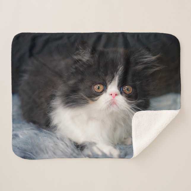 Cutest Baby Animals | Fluffy B&W Kitten Sherpa Blanket (Front (Horizontal))