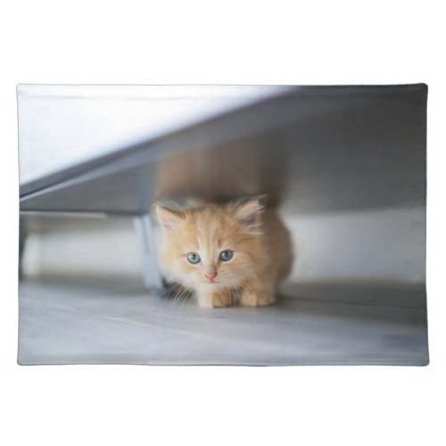 Cutest Baby Animals  Fluffy Orange Kitten Cloth Placemat