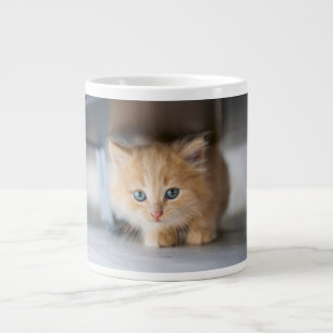 Cutest Baby Animals   Fluffy Orange Kitten Giant Coffee Mug