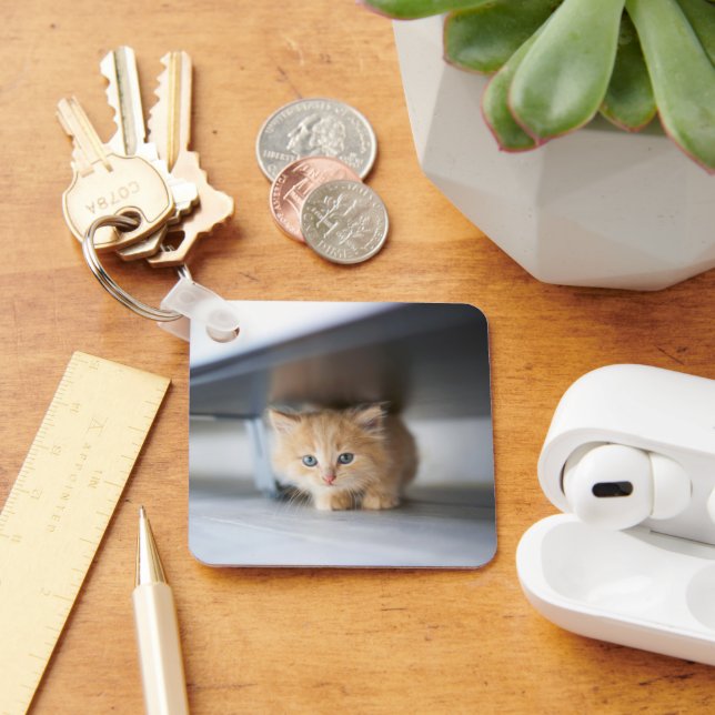Cutest Baby Animals | Fluffy Orange Kitten Keychain (Desk)
