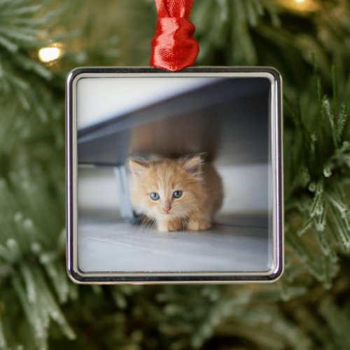 Cutest Baby Animals  Fluffy Orange Kitten Metal Ornament