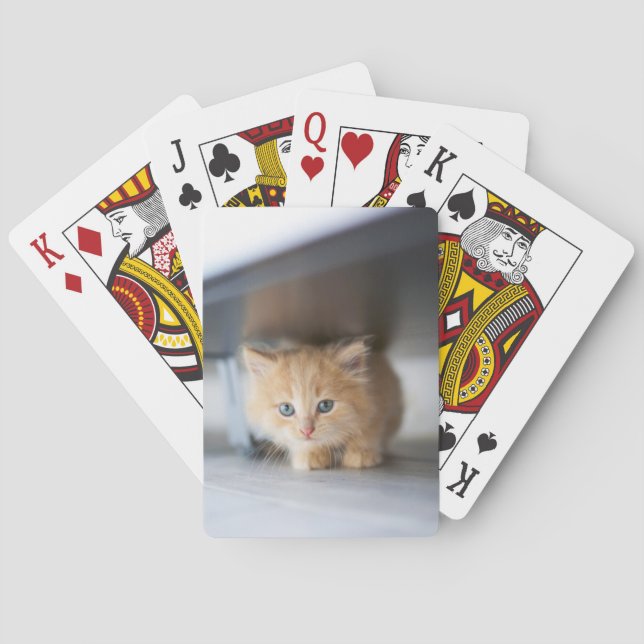 Cutest Baby Animals | Fluffy Orange Kitten Poker Cards (Back)