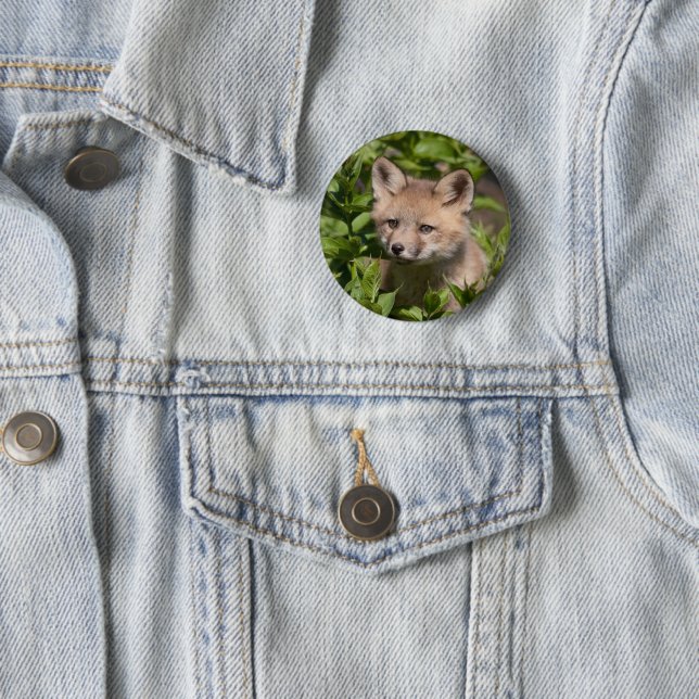 Cutest Baby Animals | Fox Kit Button (In Situ)