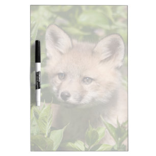 Cutest Baby Animals   Fox Kit Dry Erase Board