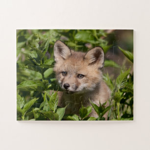 Cutest Baby Animals Fox Kit Jigsaw Puzzle