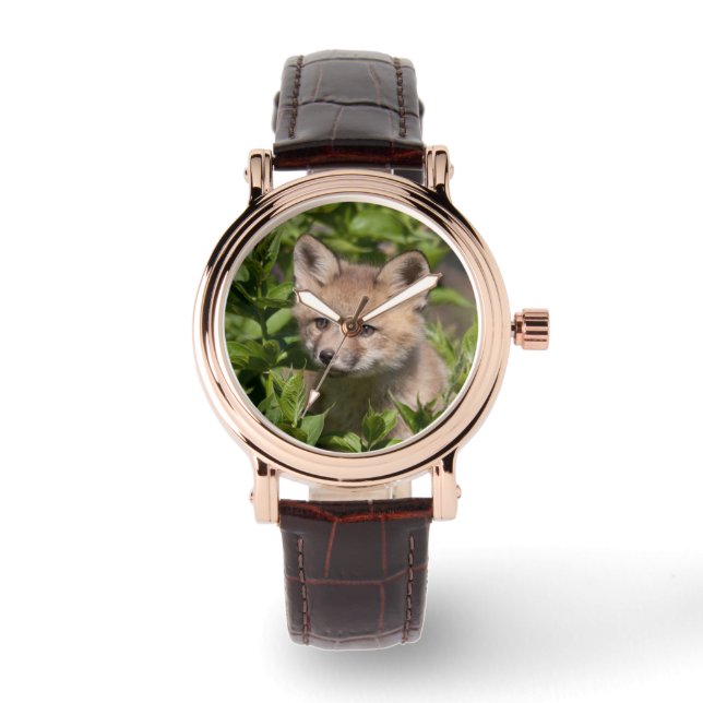 Cutest Baby Animals | Fox Kit Watch (Front)