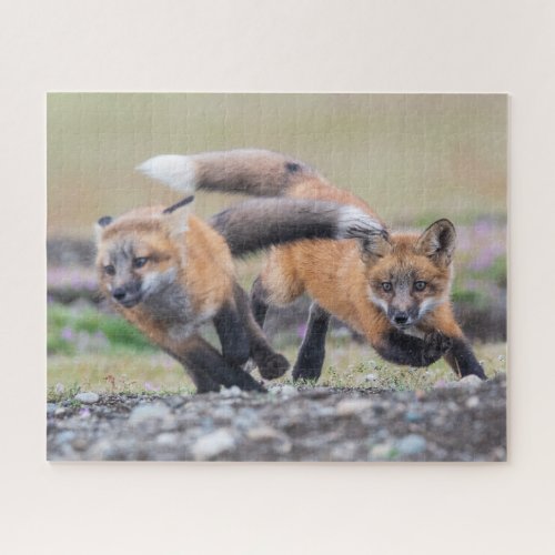 Cutest Baby Animals  Fox Pups at Play Jigsaw Puzzle