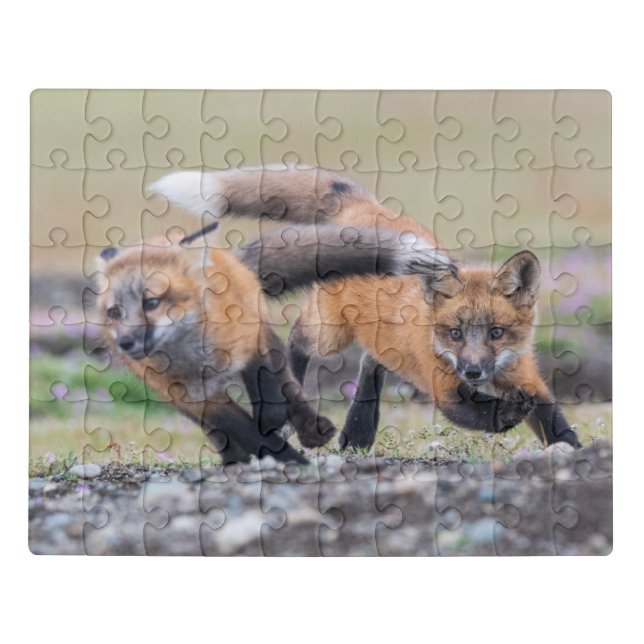 Cutest Baby Animals | Fox Pups at Play Jigsaw Puzzle (Puzzle Horizontal)