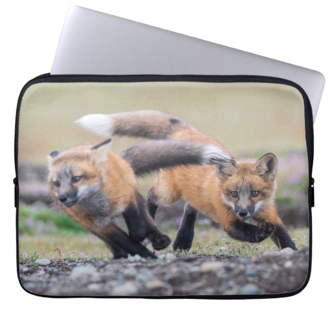 Cutest Baby Animals | Fox Pups at Play Laptop Sleeve (Front)