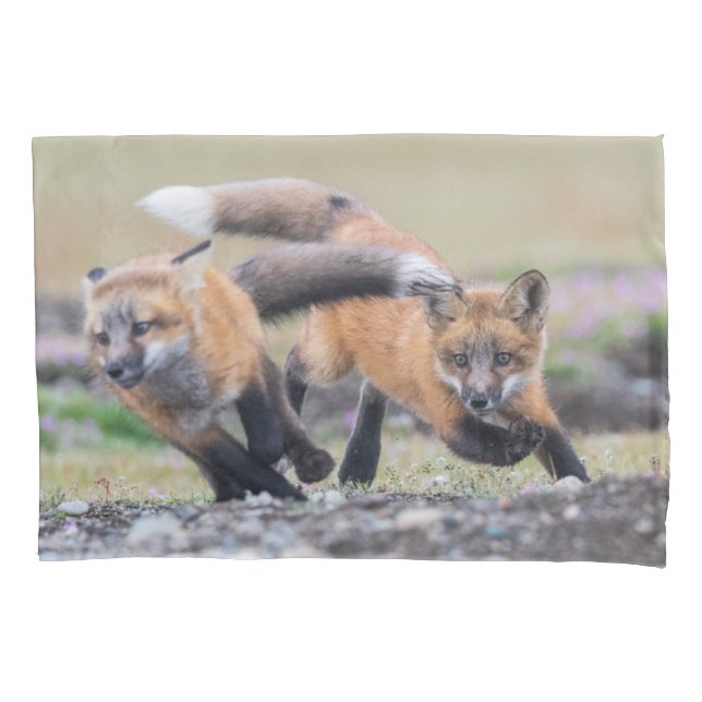 Cutest Baby Animals | Fox Pups at Play Pillow Case (Front)