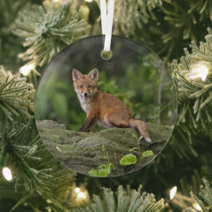 Cutest Baby Animals   Foxy Smile Glass Ornament