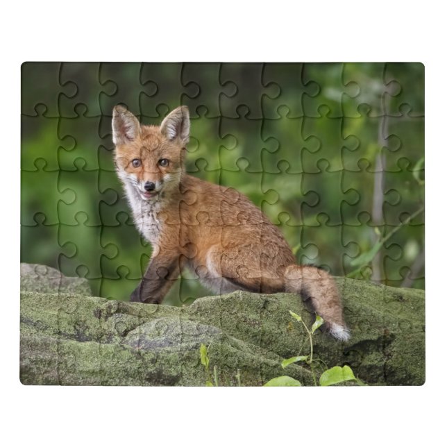Cutest Baby Animals | Foxy Smile Jigsaw Puzzle (Puzzle Horizontal)