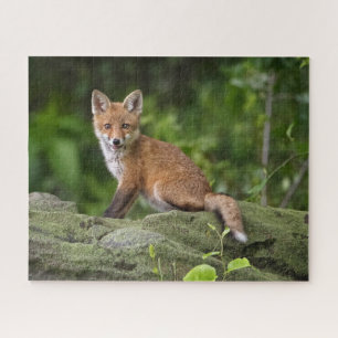Cutest Baby Animals   Foxy Smile Jigsaw Puzzle