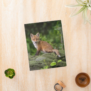 Cutest Baby Animals Foxy Smile Mini Binder