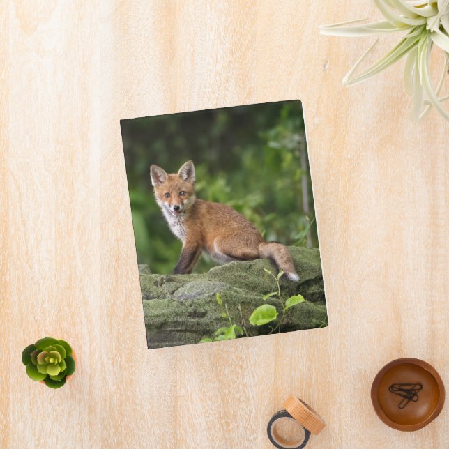 Cutest Baby Animals | Foxy Smile Mini Binder (InSitu)