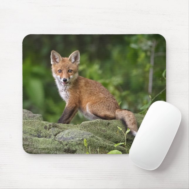 Cutest Baby Animals | Foxy Smile Mouse Pad (With Mouse)