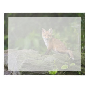 Cutest Baby Animals Foxy Smile Notepad