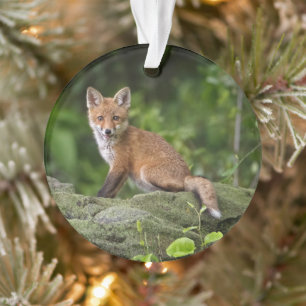 Cutest Baby Animals Foxy Smile Ornament