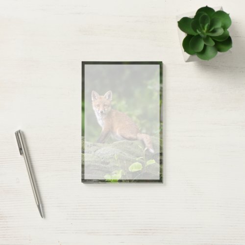 Cutest Baby Animals  Foxy Smile Post_it Notes