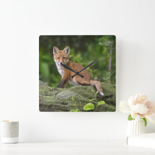 Cutest Baby Animals Foxy Smile Square Wall Clock